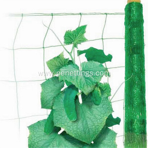 UV treated cucumber knotless trellis netting